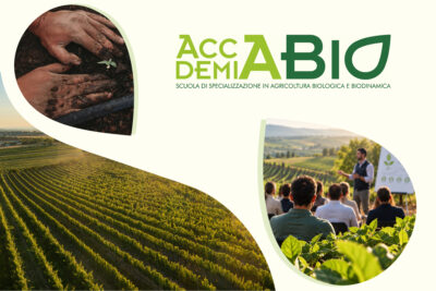 formazione in agricoltura biologica con Accademia BIO
