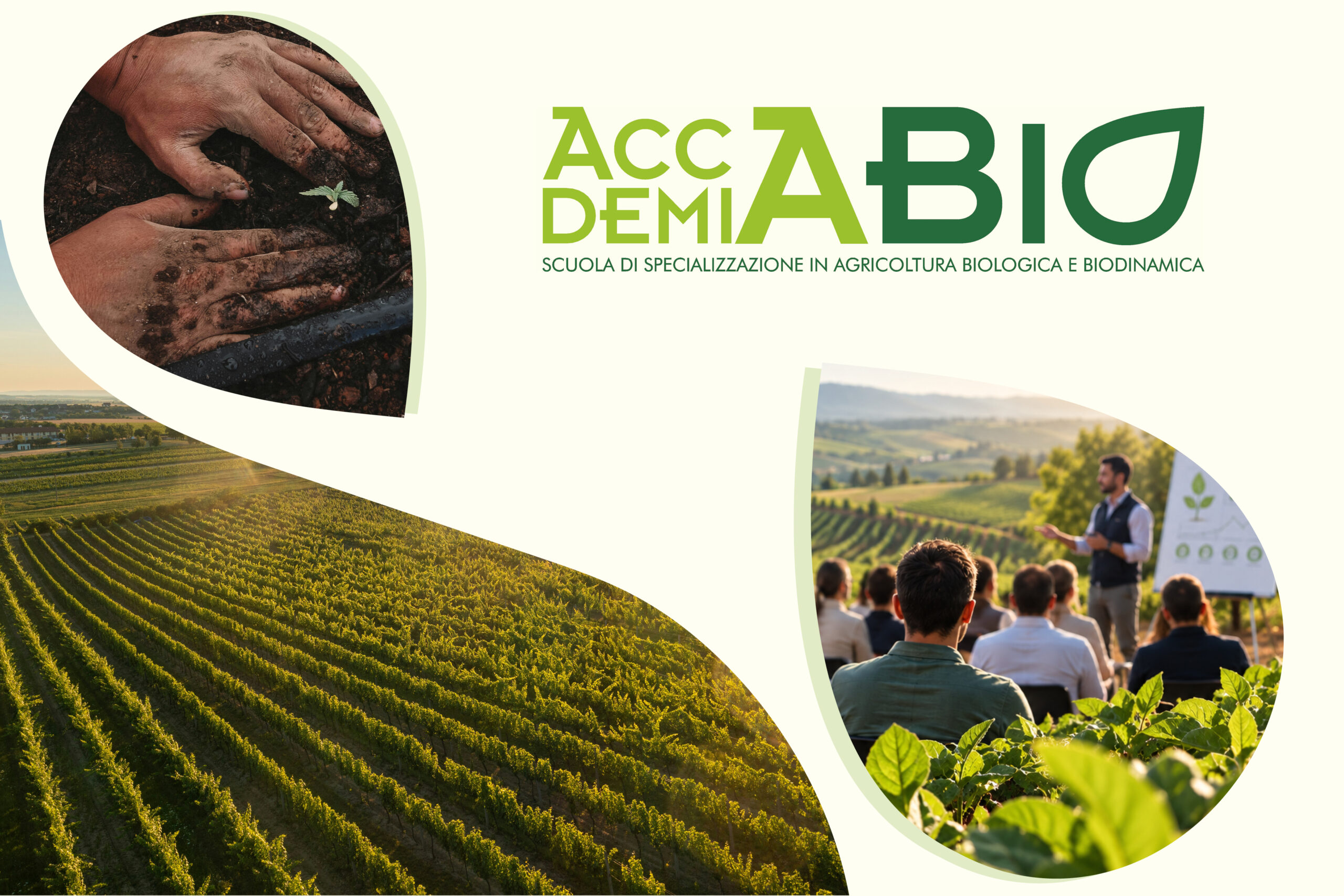 formazione in agricoltura biologica con Accademia BIO